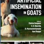 Artificial Insemination in Goats PDF