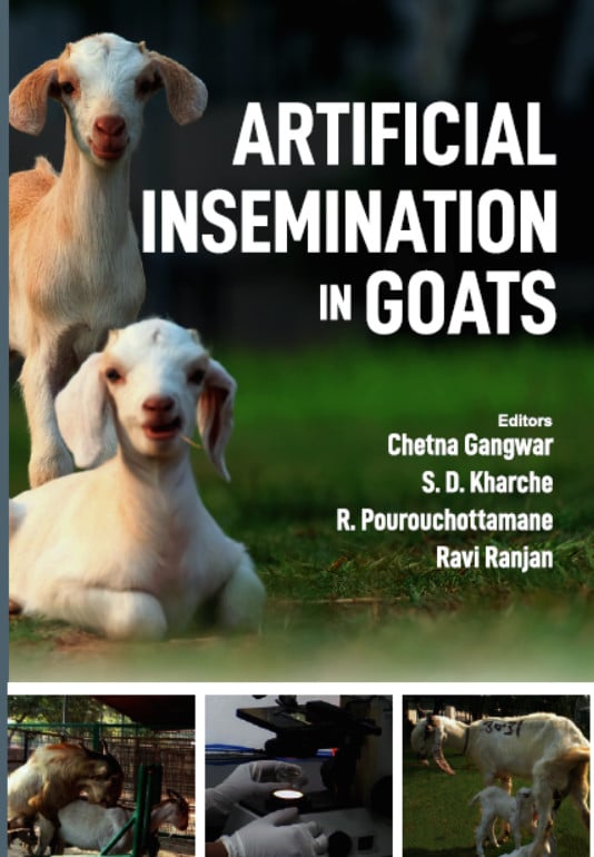 Artificial Insemination In Goats