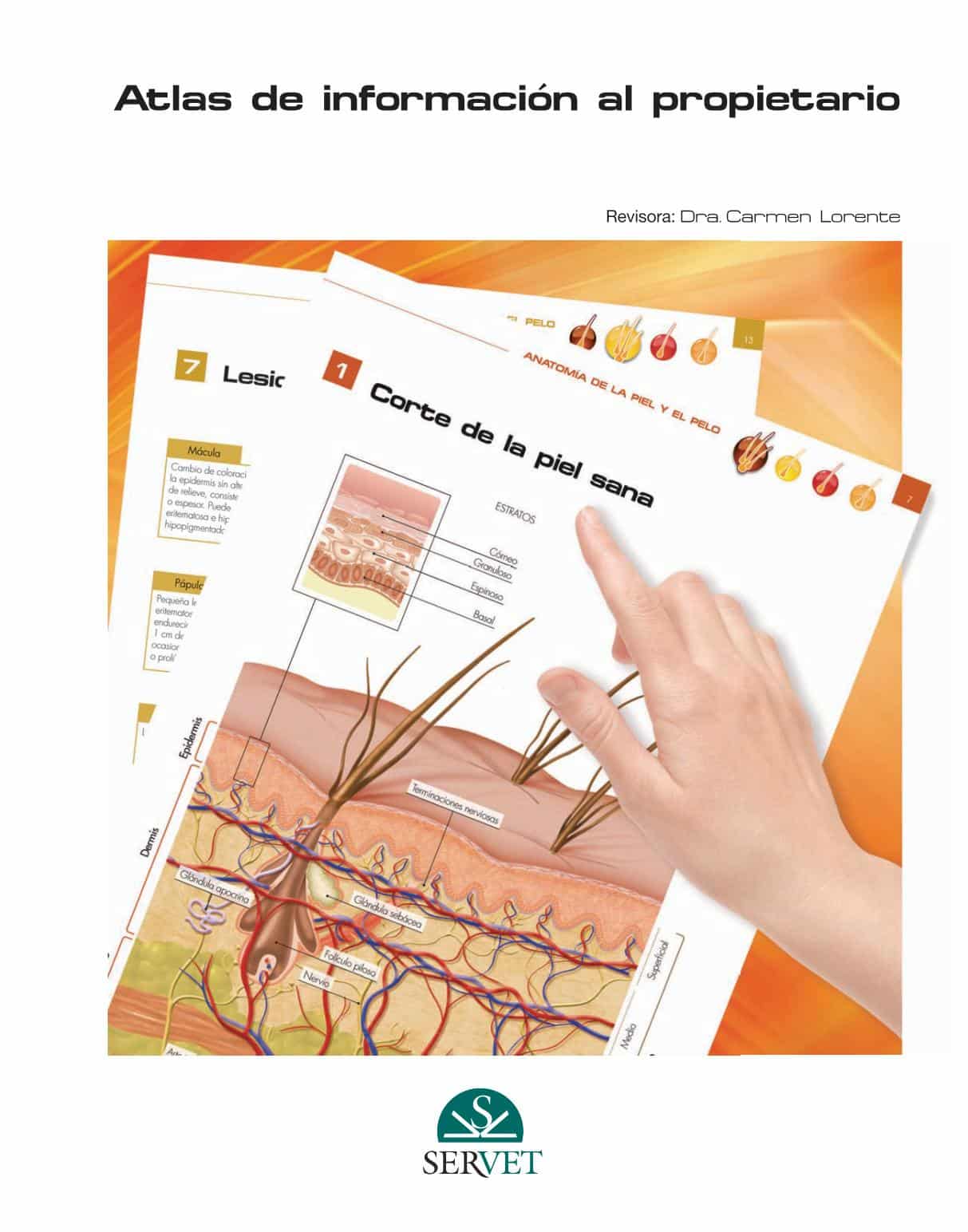 Atlas De Información Al Propietario. Dermatología Pdf Download