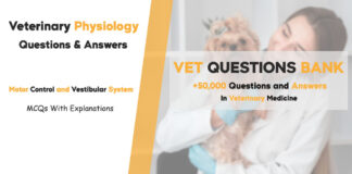 Motor Control and Vestibular System Physiology MCQs: Veterinary Questions & Answers