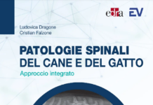Spinal pathologies in dogs and cats