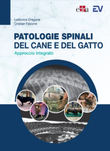 Spinal pathologies in dogs and cats