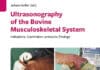 Ultrasonography Of The Bovine Musculoskeletal System: Indications, Examination Protocols, Findings