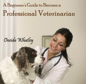 A Beginner’s Guide to Become a Professional Veterinarian