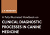 A Fully Illustrated Handbook on Clinical Diagnostic Processes in Canine Medicine PDF