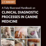 A Fully Illustrated Handbook on Clinical Diagnostic Processes in Canine Medicine PDF
