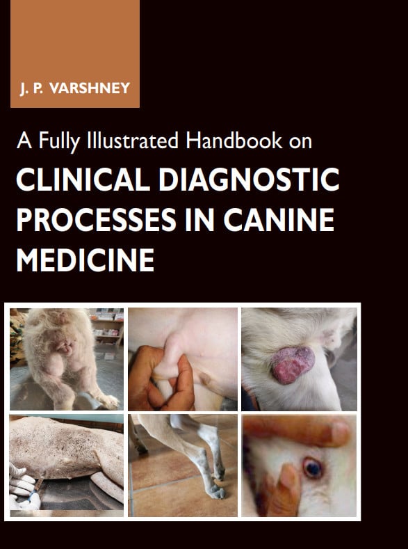 A Fully Illustrated Handbook on Clinical Diagnostic Processes in Canine Medicine PDF