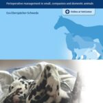 AnaesthesiaSkills in Veterinary Medicine: Perioperative Management in Small, Companion and Domestic Animals