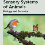 Sensory Systems of Animals Biology and Behavior PDF