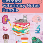 Ultimate Veterinary Notes Bundle