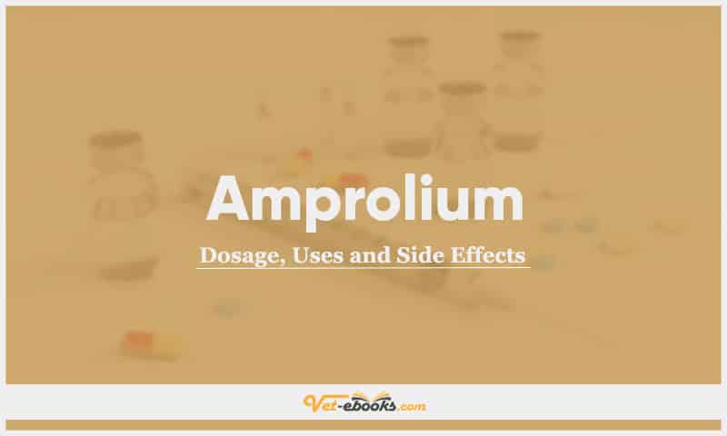 Amprolium for Calves, Poultry, and Different Animal Species: Dosage, Uses, and Side Effects Guide