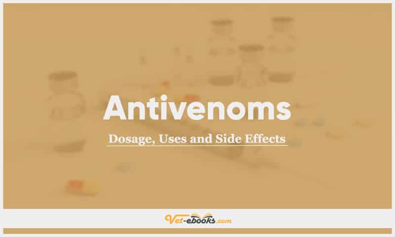 Antivenoms for Dogs, Cats, and Horses: Dosage, Uses, and Side Effects Guide