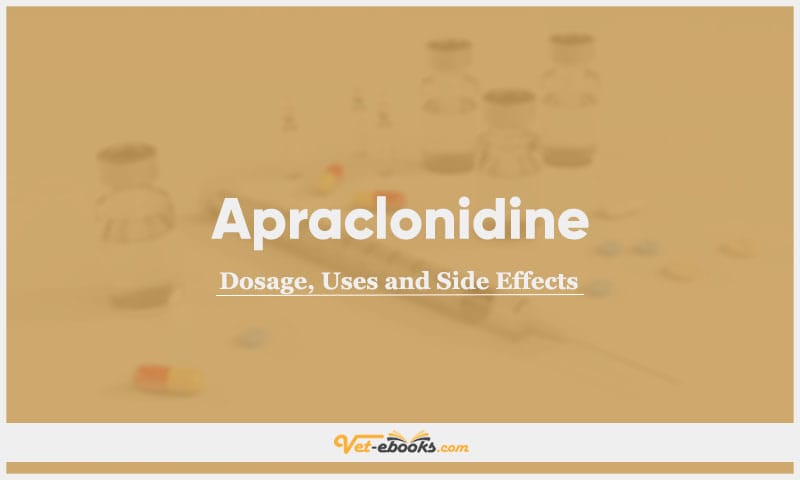 Apraclonidine for Dogs: Dosage, Uses, and Side Effects Guide