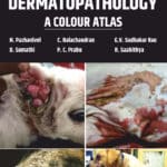 Canine Dermatopathology: A Colour Atlas PDF Download
