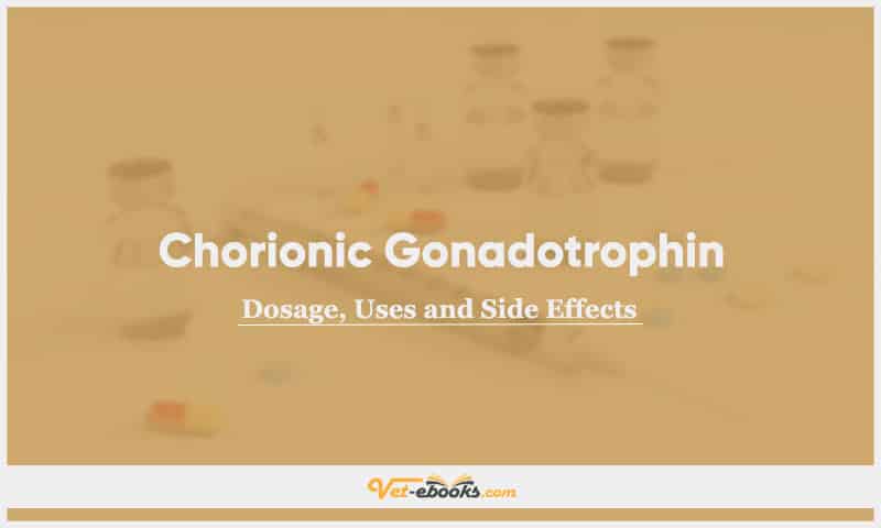 Chorionic Gonadotrophin for Dogs, Cats, and Other Animal Species: Dosage, Uses, and Side Effects Guide
