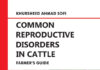Common Reproductive Disorders In Cattle: Farmer’s Guide