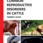 Common Reproductive Disorders in Cattle: Farmer’s Guide