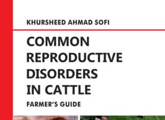 Common Reproductive Disorders In Cattle: Farmer’s Guide