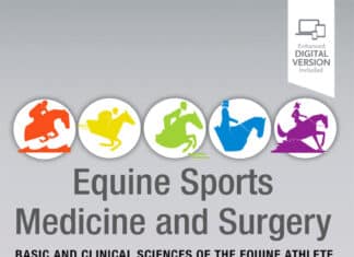 Equine Sports Medicine And Surgery Basic And Clinical Sciences Of The Equine Athlete 3Rd Edition