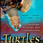Turtles Anatomy, Ecology and Conservation