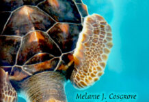 Turtles Anatomy, Ecology and Conservation