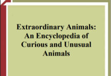 Extraordinary Animals