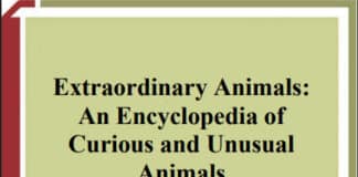 Extraordinary Animals