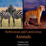 Herbivorous and Carnivorous Animals