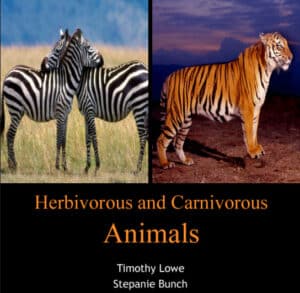 Herbivorous And Carnivorous Animals