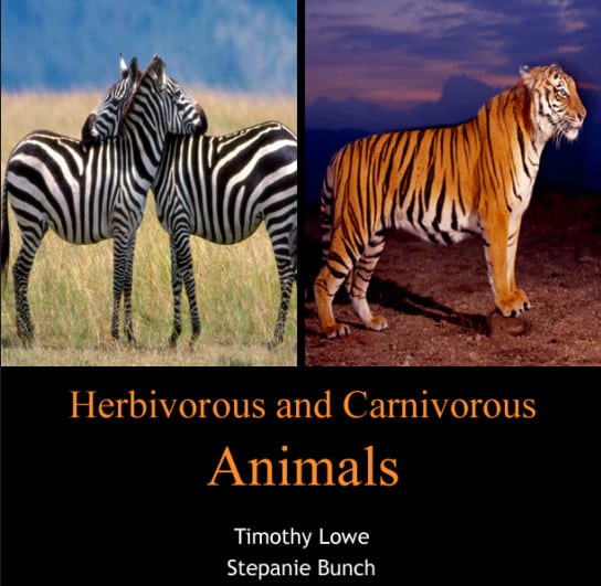 Herbivorous And Carnivorous Animals