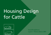 Housing Design for Cattle – Danish Recommendations