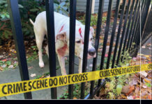 Investigating Animal Abuse Crime Scenes: A Field Guide
