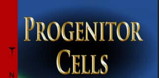 Progenitor Cells Biology, Characterization and Potential Clinical Applications