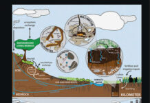 Soil Microbiology, Ecology and Biochemistry