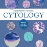 The Busy Vet's Guide to Cytology: What Do All the Blobs Mean?