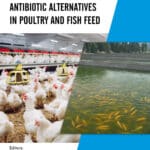 Antibiotic Alternatives in Poultry and Fish Feed PDF Download
