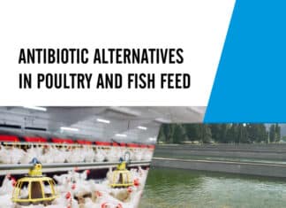 Antibiotic Alternatives In Poultry And Fish Feed Pdf Download