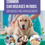 Common Ear Diseases in Dogs Diagnosis and Management PDF Download