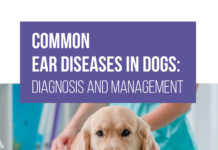 Common Ear Diseases in Dogs Diagnosis and Management PDF Download
