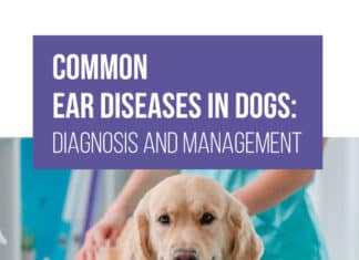 Common Ear Diseases In Dogs Diagnosis And Management Pdf Download