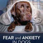 Fear and Anxiety in Dogs