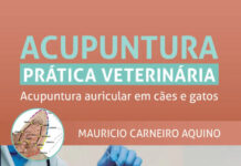 Acupuntura Prática Veterinária Acupuntura Auricular em Cães e Gatos