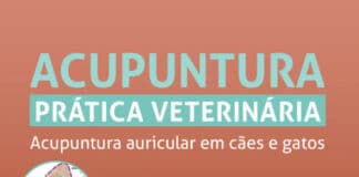 Acupuntura Prática Veterinária Acupuntura Auricular em Cães e Gatos