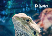 Advances in Animal Science and Zoology