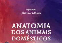 Acupuntura Prática Veterinária Acupuntura Auricular em Cães e Gatos PDF