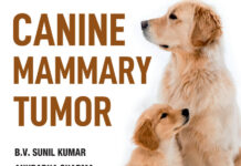 Canine Mammary Tumor