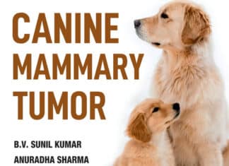 Canine Mammary Tumor