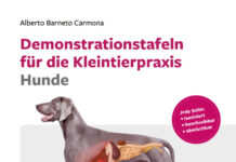 Demonstrationstafeln fr die Kleintierpraxis Hunde Demonstrationstafeln fr die Kleintierpraxis Hunde