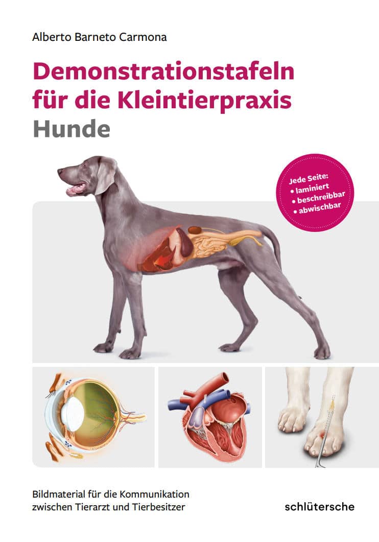 Demonstrationstafeln Fr Die Kleintierpraxis Hunde