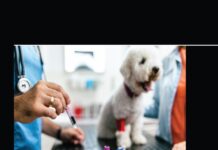 Encyclopedia of Veterinary Science